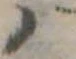 𛂞の位置