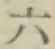 字六