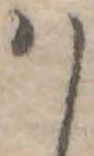 𛂞 위치 확인됨