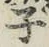 글자 子