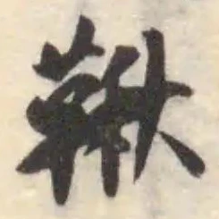 鞦 위치 확인됨