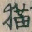 文字 猫