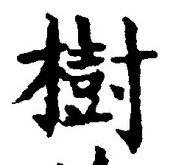 “樹”字