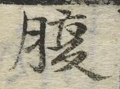 글자 腹