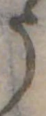 미지정 위치 확인됨