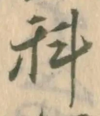 科 위치 확인됨