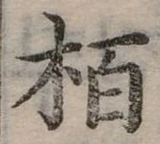 柏 위치 확인됨