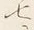 文字七