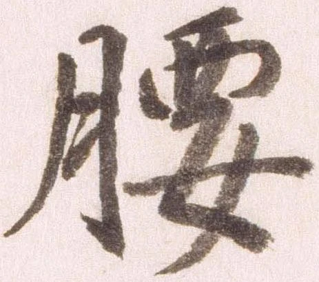 已定位腰