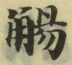 Đã định vị 觴