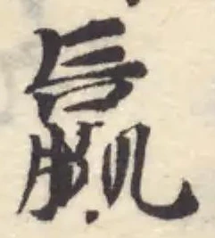羸 위치 확인됨