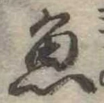 魚 위치 확인됨