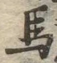 馬 위치 확인됨