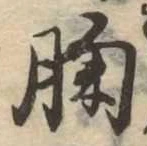 胸 위치 확인됨