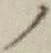 字ノ