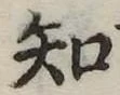 知 위치 확인됨