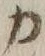 文字 カ