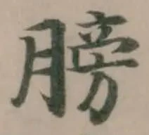 膀 위치 확인됨