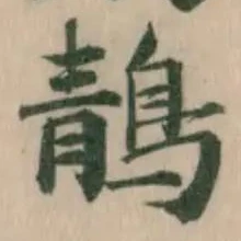 鶄 위치 확인됨