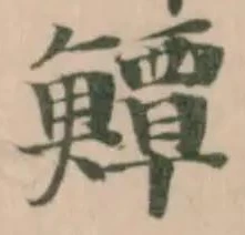 鱏の位置