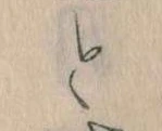 Đã định vị と