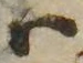 𛂞の位置