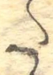 𛁠の位置