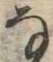 𛂂 위치 확인됨