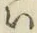 字い