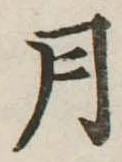 位置定マレル月