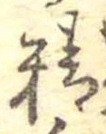 精 위치 확인됨