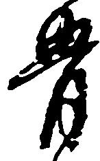骨 위치 확인됨