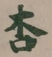 杏の位置