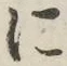 글자 に