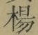 글자 楊