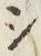 字シ