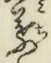글자 葉
