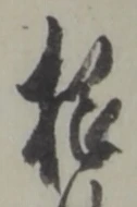 位置定マレル根