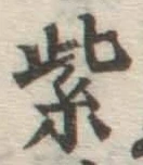 字紫