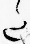 Đã định vị 𛁠