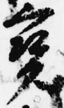 已定位宝