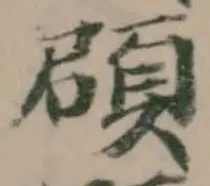 𩒫の位置