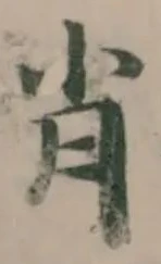肖 위치 확인됨