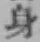 文字身