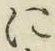 Character に