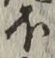 글자 ほ