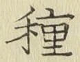 글자 種