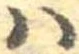 𛂞の位置