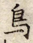 鳥 위치 확인됨