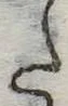 Đã định vị 𛁠